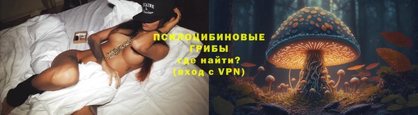 дмт Арсеньев