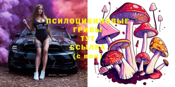 ALPHA PVP Армянск